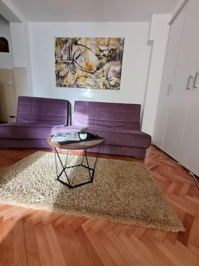 Apartman Veselinovic Free Parking Vranje Exteriör bild